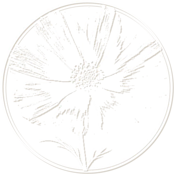 The cosmos as a blind emboss