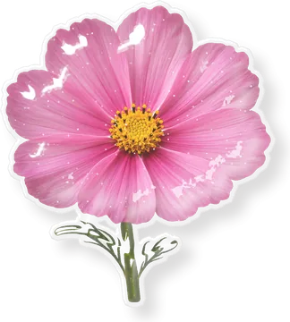 The cosmos as a puffy sticker